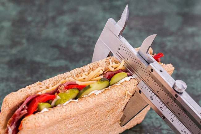 Measuring your diet can help fight obesity